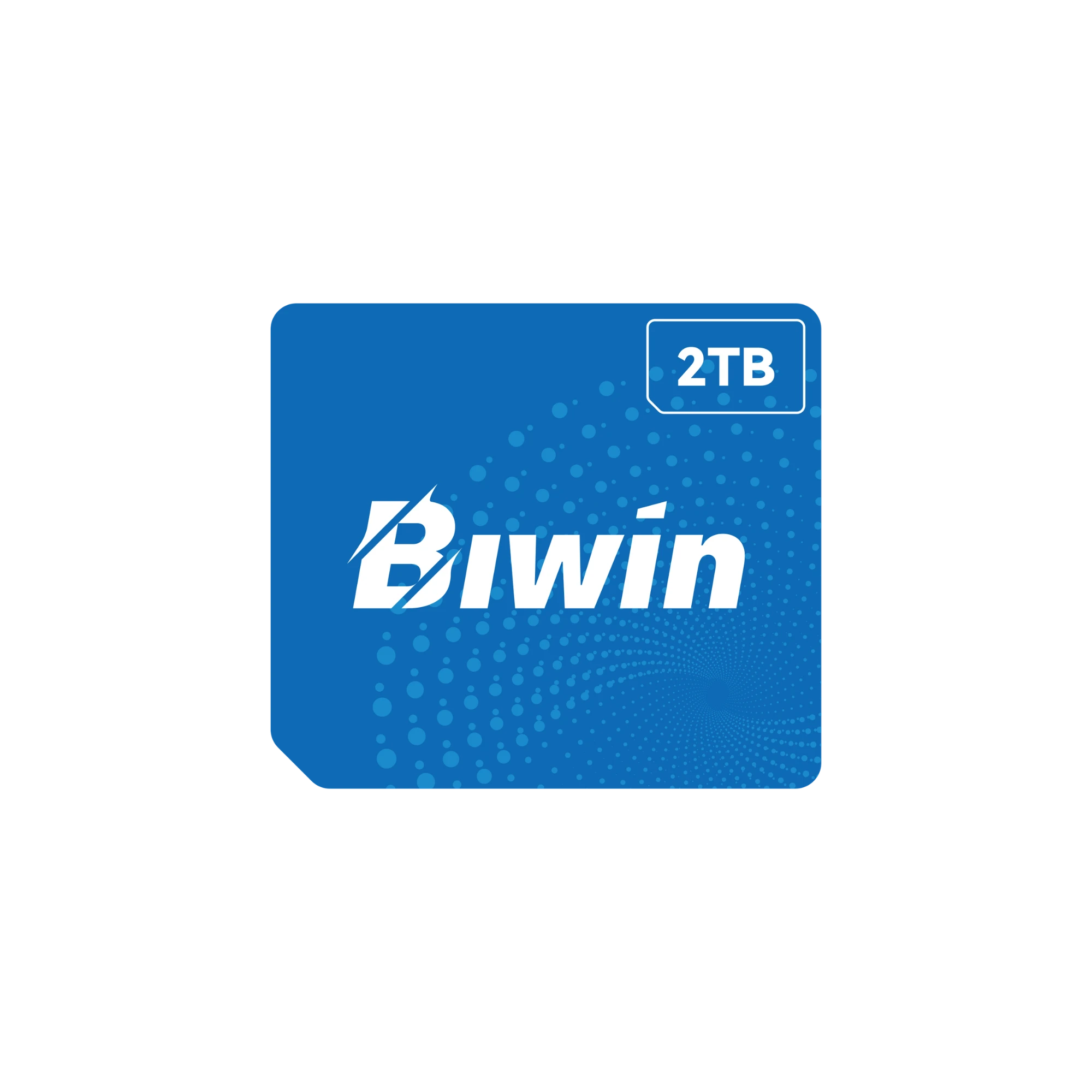 O BiWin CL100 Mini SSD