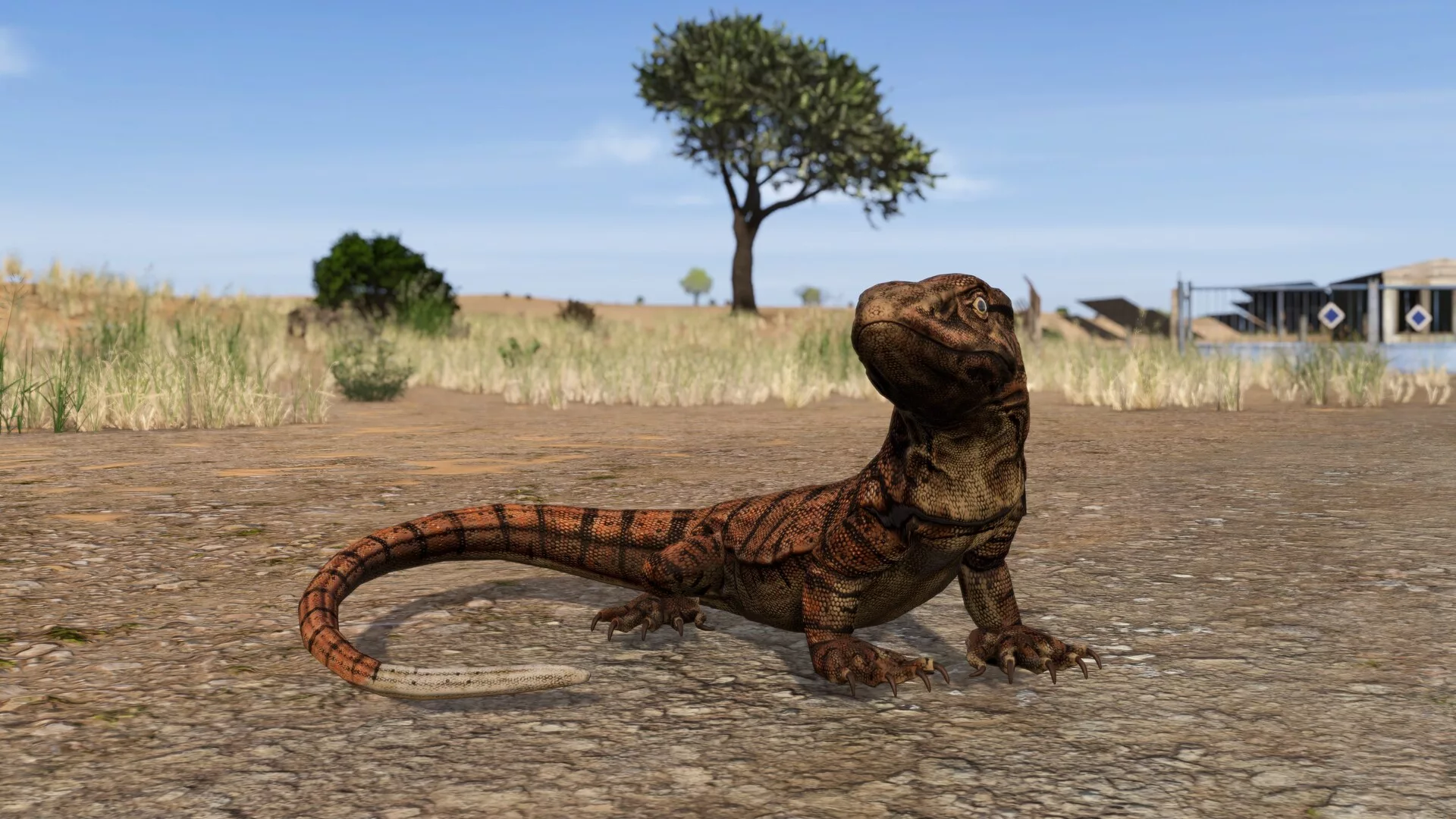 Um lagarto-monitor do deserto num caminho de terra em DayZ Badlands